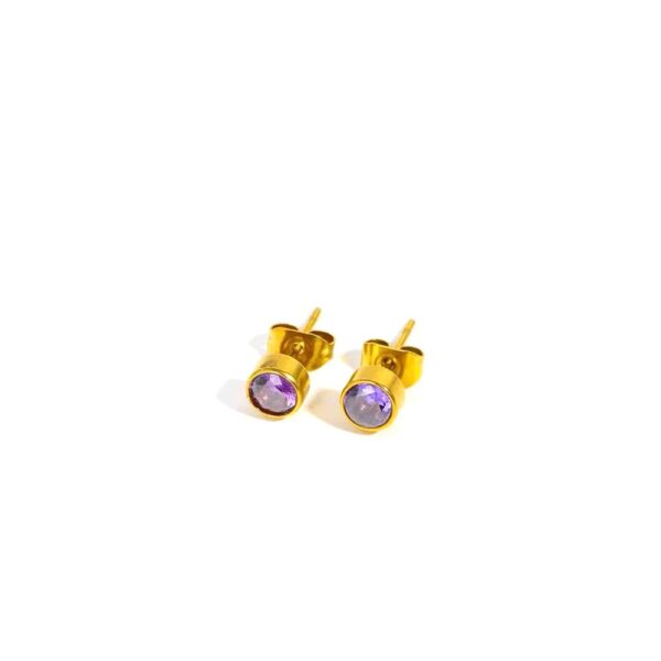 February Amethyst Earing